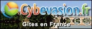 BRETAGNE/logo_cybevasion.jpg