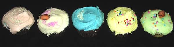 CUPCAKES/cupcake_magnolia-serie_of5.JPG