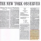 CV/review_vong_ny_obs_1993_comp.jpg