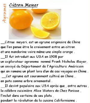 FRUITS_exotic/fruits_agrumes_citron_meyer.jpg