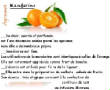 FRUITS_exotic/fruits_agrumes_mandarine.jpg