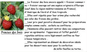 FRUITS_exotic/fruits_baie_fraise_desbois.jpg