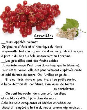 FRUITS_exotic/fruits_baie_groseille.jpg