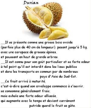 FRUITS_exotic/fruits_exotiques_durian.jpg