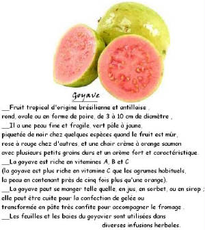 FRUITS_exotic/fruits_exotiques_goyave.jpg