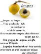 FRUITS_exotic/fruits_exotiques_longane.jpg
