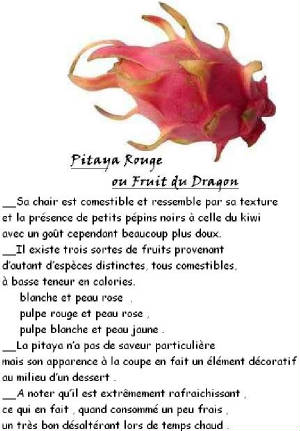 FRUITS_exotic/fruits_exotiques_pitaya_rouge.jpg