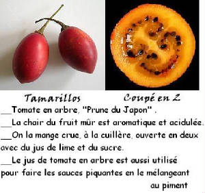 FRUITS_exotic/fruits_exotiques_tamarillos.jpg