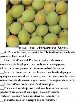 FRUITS_exotic/fruits_exotiques_ume_abricot_japon.jpg
