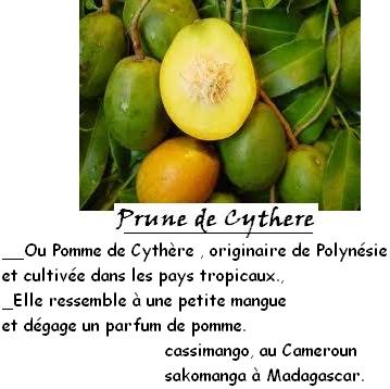 FRUITS_exotic/fruits_prune_cythere.jpg