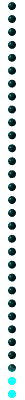 GIF/gid-line-verti3.gif