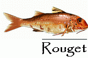 POISSONS/ROUGET.gif