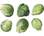 glossary_b/veg_brusselsprouts.gif