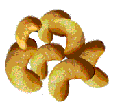 glossary_c/fruit-cashewnut.GIF
