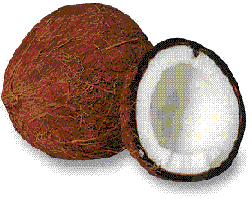 glossary_c/fruit-coconut.GIF