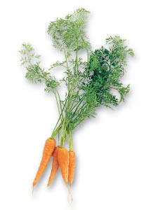 glossary_c/veg-carrot-mini.jpg