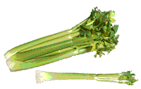 glossary_c/veg-celery.gif