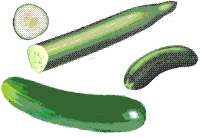 glossary_c/veg-cucumbers.gif