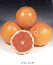 glossary_g/fruit-grapefruit.jpg
