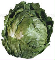 glossary_i/lettuce-iceburg.jpg