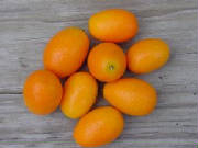 glossary_k/fruit-kumquat2.jpg