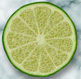glossary_l/fruit-lime.GIF