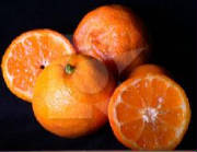 glossary_m/fruit-mandarinlime_rangpur.jpg