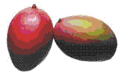 glossary_m/fruit-mango.GIF