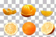 glossary_o/fruit-orange.jpg