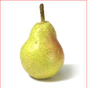 glossary_p/fruit-pear2.jpg