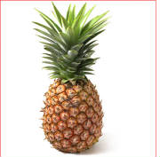 glossary_p/fruit-pineapple2.jpg