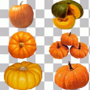 glossary_p/fruit-pumpkin.jpg