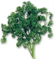 glossary_p/herb-parsley-frise.jpg