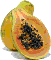 glossary_p/fruit-papaya.GIF