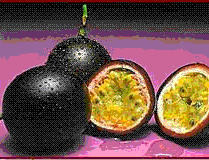 glossary_p/fruit-passionfruit.GIF