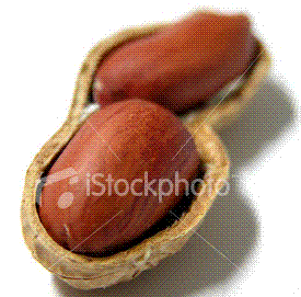 glossary_p/fruit-peanut.GIF