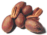 glossary_p/fruit-pecan.GIF