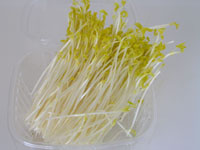 glossary_p/lettuce-peashouts-golden-micro.jpg