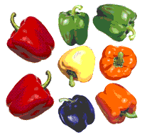 glossary_p/veg-peppers.GIF