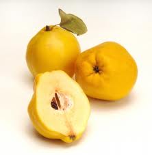 glossary_q/Quince.jpg