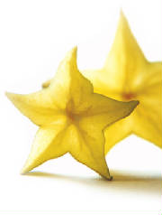 glossary_s/fruit-starfruit.jpg