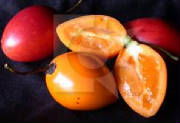 glossary_t/fruit-tamarillo.jpg