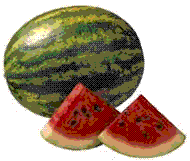 glossary_w/fruit-watermelon.GIF